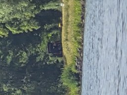 Mainschwimmen Juni 2026